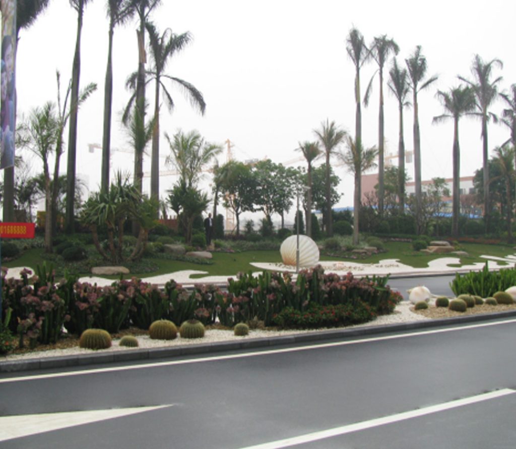 城市市政道路园林绿化实景，道路绿化带种植棕榈树、造型灌木，道路配套景观工程实拍案例