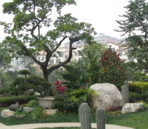 深圳别墅花园设计技巧 - 高端私家庭院景观整体规划效果图