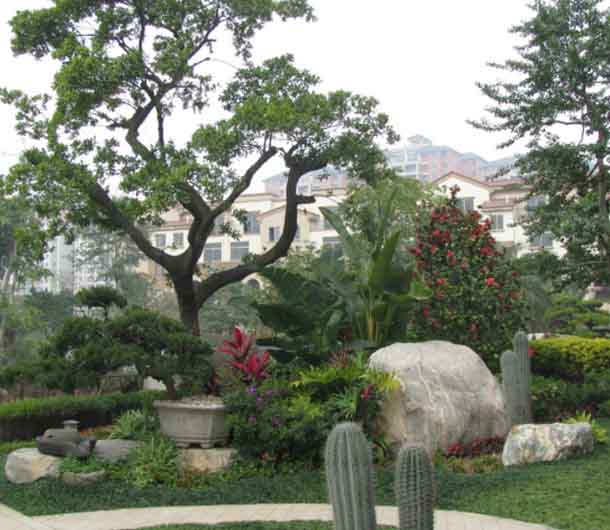 深圳别墅花园设计技巧 - 高端私家庭院景观整体规划效果图